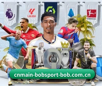 BOB体育官网 APP